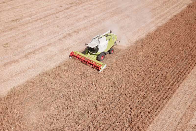 A combine harvests a soya-bean field in Paraguay.