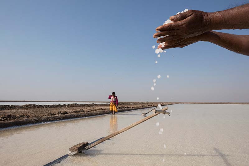 Ramesh Dudiwadia, a salt pan worker, inspects his salt in Little Rann Off Kutch, India.