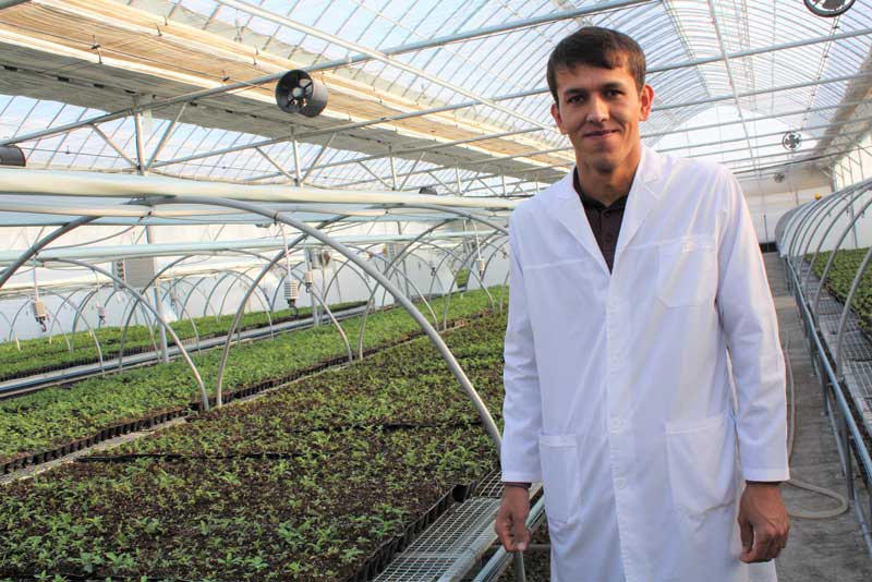 Researchers at Gala Osiyo Non develop seedlings for export at a state-of-the-art laboratory and greenhouse.