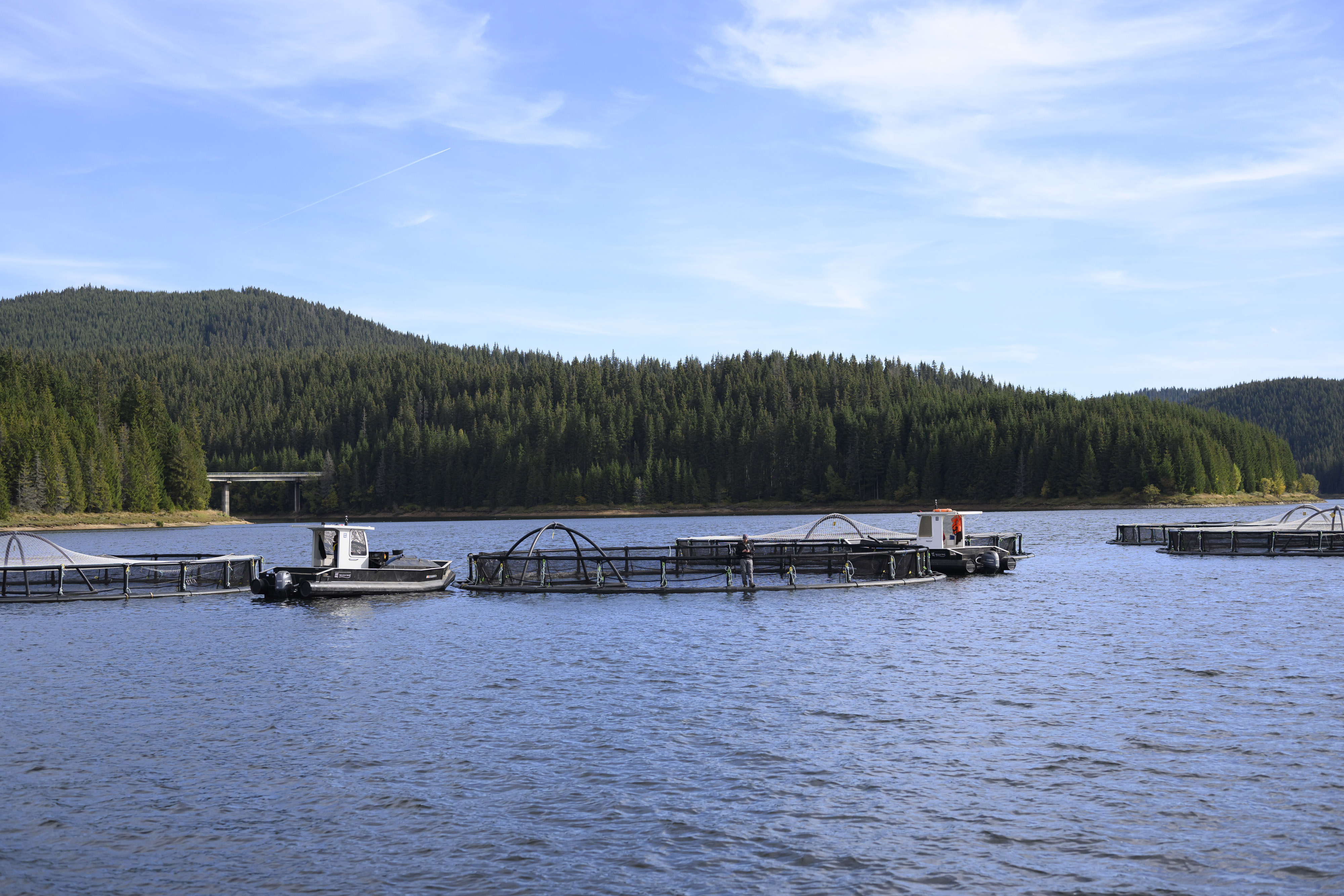 Romania&rsquo;s Bold Blue Future