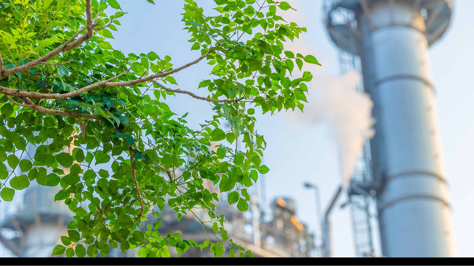 The Energy Community Secretariat supports launch of Western Balkans Green Growth Alliance